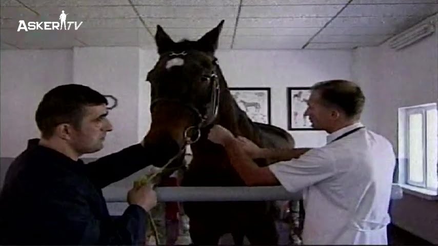 Atlı Spor Eğitim Merkezi Komutanlığı (Arşiv)