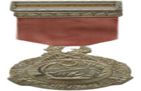 Türk Silahlı Kuvvetleri Başarı Madalyası
