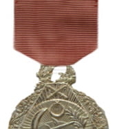 turk-silahli-kuvvetleri-basari-madalya