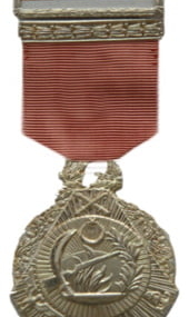 Türk Silahlı Kuvvetleri Başarı Madalyası