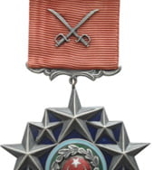 turk-silahli-kuvvetleri-ustun-hizmet-madalya