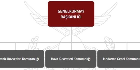 Türk Silahlı Kuvvetleri’nin Kuvvet Yapısı