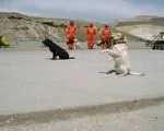 turkisrailurdunak_10