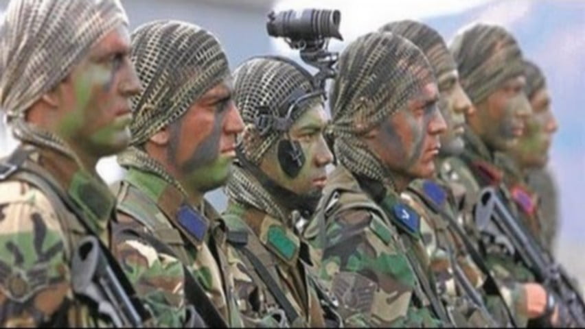 0054_bordo-bereliler-kimlerdir