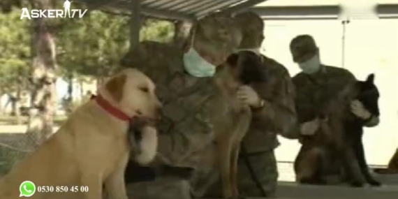 Nevşehir Jandarma At ve Köpek Eğitim Merkezi (JAKEM)
