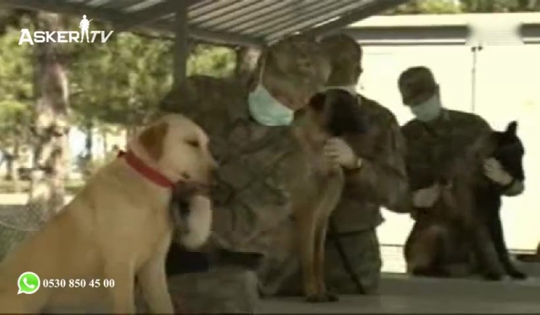 Nevşehir Jandarma At ve Köpek Eğitim Merkezi (JAKEM)