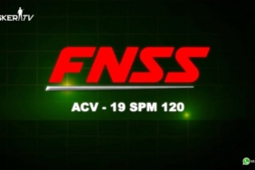 fnns-acv-19-spm