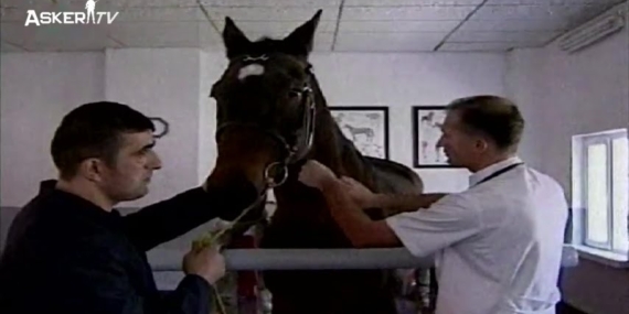Atlı Spor Eğitim Merkezi Komutanlığı (Arşiv)
