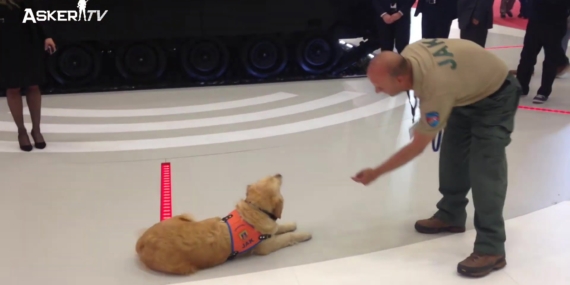 IDEF19 – JANDARMA VE KÖPEK EĞİTİMİ (JAK)