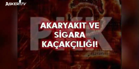 Terör Örgütünün Finansal Kaynakları: Sigara Kaçakçılığı (2008)