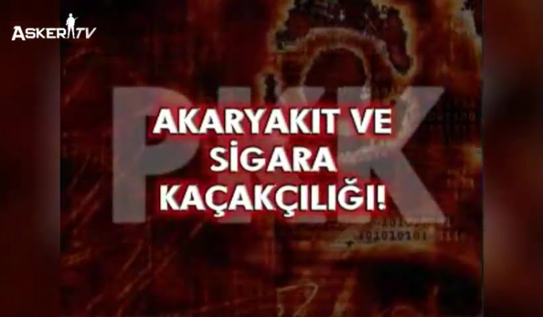 Terör Örgütünün Finansal Kaynakları: Sigara Kaçakçılığı (2008)