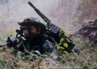 sas29caqz6