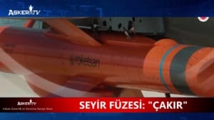 seyir-fuzesi-cakir