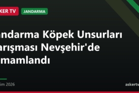 Jandarma Köpek Unsurları Yarışması Nevşehir'de tamamlandı
