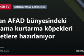 Van AFAD bünyesindeki arama kurtarma köpekleri afetlere hazırlanıyor